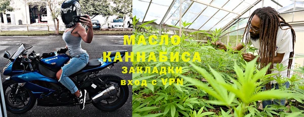 крисы Кулебаки