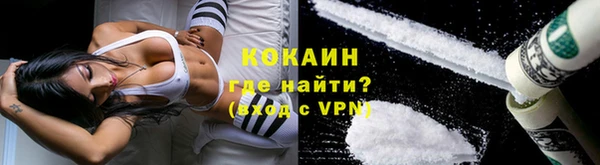 крисы Кулебаки