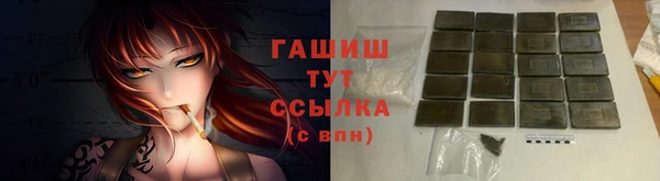 крисы Кулебаки
