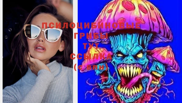 таблы Краснослободск