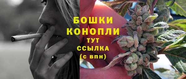 крисы Кулебаки