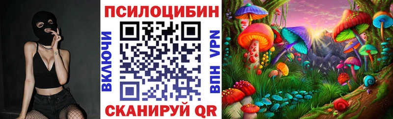 Галлюциногенные грибы мицелий Купить закладки Мостовской
